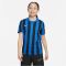 NIKE Dri-FIT Striped Division IV kurzarm Kinder Striped kurzarm Fußball Trikot
