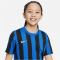 NIKE Dri-FIT Striped Division IV kurzarm Kinder Striped kurzarm Fußball Trikot