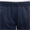 NIKE Park 20 Dri-FIT Damen Knit Fußballshorts