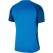 NIKE Dri-FIT Strike II Herren Fußball Trikot kurzarm