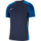 NIKE Dri-FIT Strike II Herren Fußball Trikot kurzarm