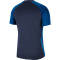 NIKE Dri-FIT Strike II Herren Fußball Trikot kurzarm