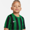 NIKE Dri-FIT Striped Division IV kurzarm Kinder Striped kurzarm Fußball Trikot pine green/black/white XS (122-128 cm)