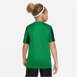 NIKE Dri-FIT Striped Division IV kurzarm Kinder Striped kurzarm Fu&szlig;ball Trikot pine green/black/white S (128-137 cm)