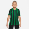 NIKE Dri-FIT Striped Division IV kurzarm Kinder Striped kurzarm Fu&szlig;ball Trikot pine green/black/white S (128-137 cm)