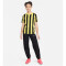 NIKE Dri-FIT Striped Division IV kurzarm Kinder Striped kurzarm Fußball Trikot tour yellow/black/white S (128-137 cm)