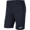 NIKE Park 20 Dri-FIT Knit Coach/Travel Shorts Herren obsidian/obsidian/white S