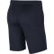 NIKE Park 20 Dri-FIT Knit Coach/Travel Shorts Herren obsidian/obsidian/white S