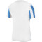 NIKE Dri-FIT Striped Division IV Herren kurzarm Fußball Trikot white/university blue/black L