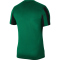 NIKE Dri-FIT Striped Division IV Herren kurzarm Fu&szlig;ball Trikot pine green/black/white S
