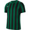 NIKE Dri-FIT Striped Division IV Herren kurzarm Fußball Trikot pine green/black/white XXL