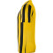 NIKE Dri-FIT Striped Division IV Herren kurzarm Fußball Trikot tour yellow/black/white XXL