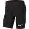 NIKE Dri-FIT Gardien I Torwarthose gepolstert Kinder black/black/white S (128-137 cm)