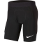 NIKE Dri-FIT Gardien I gepolsterte Torwart-Tight Herren black/black/white S