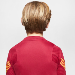 NIKE FC Barcelona Strike Trainingstrikot Kinder
