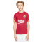 NIKE FC Barcelona Strike Trainingstrikot Kinder
