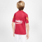 NIKE FC Barcelona Strike Trainingstrikot Kinder noble red/noble red/amarillo M (137-147 cm)