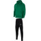 NIKE Park 20 Fleece Trainingsanzug Kinder pine green/white XS (122-128 cm)