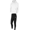 NIKE Park 20 Fleece Trainingsanzug mit Kapuze Herren white/white/wolf grey M