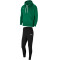 NIKE Park 20 Fleece Trainingsanzug mit Kapuze Herren pine green/white/white S