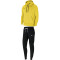 NIKE Park 20 Fleece Trainingsanzug mit Kapuze Damen