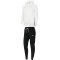 NIKE Park 20 Fleece Trainingsanzug mit Kapuze Damen white/white/wolf grey S