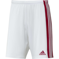 adidas Squadra 21 Shorts Kinder