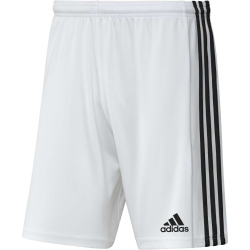 adidas Squadra 21 Shorts Kinder