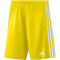 adidas Squadra 21 Shorts Kinder