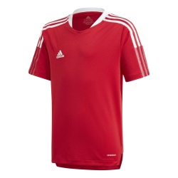 adidas Tiro 21 Trainingstrikot Kinder