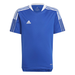 adidas Tiro 21 Trainingstrikot Kinder
