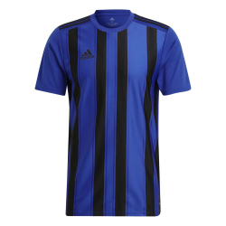 adidas Striped 21 Trikot Herren