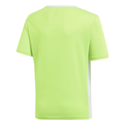 adidas Entrada 18 Trikot Kinder solar green/white 176