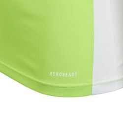 adidas Entrada 18 Trikot Kinder solar green/white 176