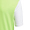 adidas Estro 19 Trikot Kinder solar green/white 116