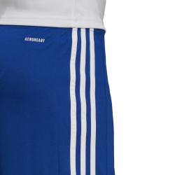 adidas Squadra 21 Fu&szlig;ball Shorts team royal blue/white XS