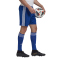 adidas Squadra 21 Fu&szlig;ball Shorts team royal blue/white XS