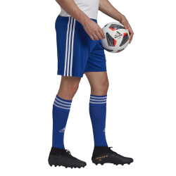 adidas Squadra 21 Fußball Shorts team royal blue/white S