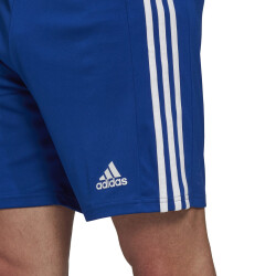 adidas Squadra 21 Fußball Shorts team royal blue/white S