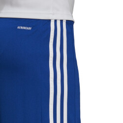 adidas Squadra 21 Fußball Shorts team royal blue/white S