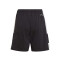 adidas Squadra 21 Dt Shorts Kinder black/white 116
