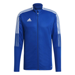 adidas Tiro 21 Trainingsjacke team royal blue L