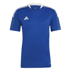 adidas Tiro 21 Trainingstrikot team royal blue XL