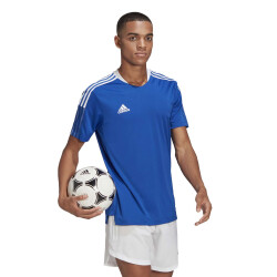 adidas Tiro 21 Trainingstrikot team royal blue XL