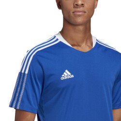 adidas Tiro 21 Trainingstrikot team royal blue XL