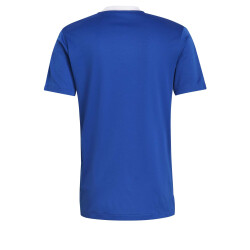 adidas Tiro 21 Trainingstrikot team royal blue XL