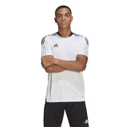 adidas Tiro 21 Trainingstrikot white M
