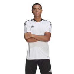 adidas Tiro 21 Trainingstrikot white XL