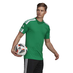 adidas Squadra 21 Trikot Kurzarm team green/white XS