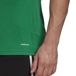 adidas Squadra 21 Trikot Kurzarm team green/white XS